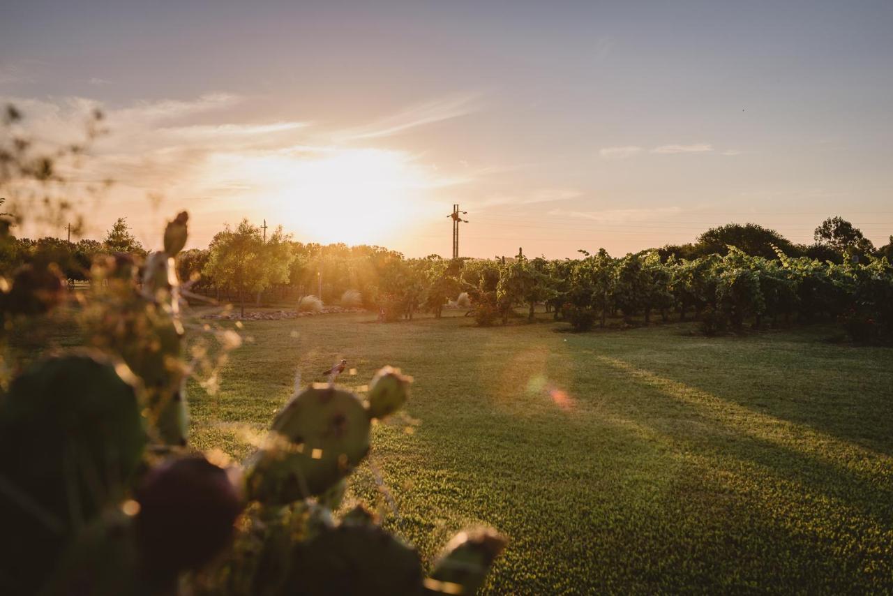 El Legado Wine Lodge Кармело Екстериор снимка