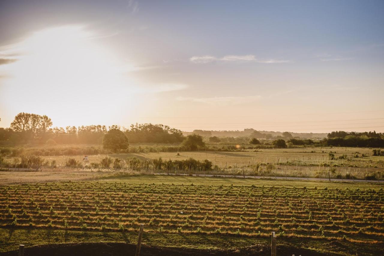 El Legado Wine Lodge Кармело Екстериор снимка